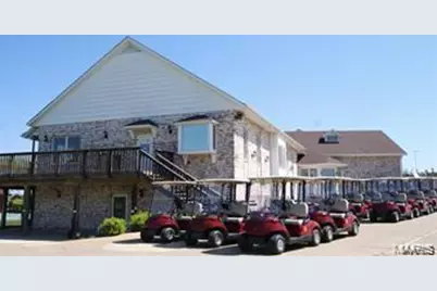 10155 Lake Ridge Drive, Hillsboro, MO 63050 - Photo 11