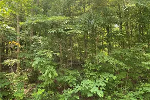 10155 Lake Ridge Dr, Hillsboro, MO 63050 - Photo 17