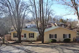 243 Rue Marseilles, Bonne Terre, MO 63628 - Photo 1