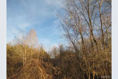 0 Bogy Street, De Soto, MO 63020 - Photo 1