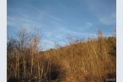 0 Bogy Street, De Soto, MO 63020 - Photo 3