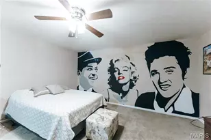 311 Dana Renee, Rolla, MO 65401 - Photo 31