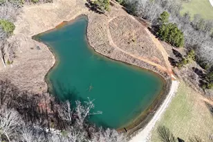 2385 Brown Rd, Van Buren, MO 63965 - Photo 11