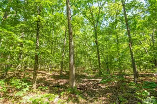 4117 State Hwy 21, Grandin, MO 63943 - Photo 35