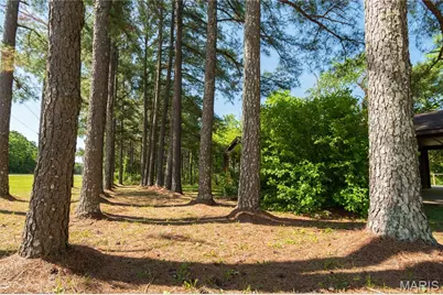 4117 State Highway 21, Grandin, MO 63943 - Photo 27