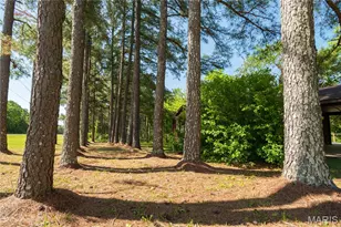 4117 State Hwy 21, Grandin, MO 63943 - Photo 27