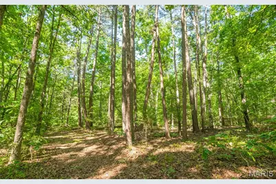 4117 State Highway 21, Grandin, MO 63943 - Photo 21