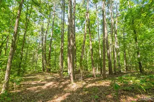 4117 State Hwy 21, Grandin, MO 63943 - Photo 21