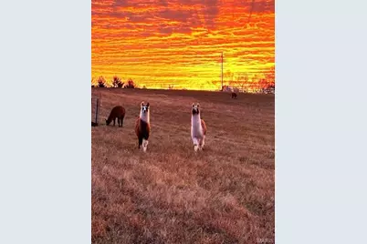 850 Aj Farm Lane, Washington, MO 63090 - Photo 57