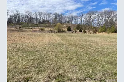 570 Fairway Drive #Lot 22, Union, MO 63084 - Photo 3