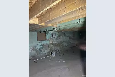 5132 Palm Street, Saint Louis, MO 63115 - Photo 15