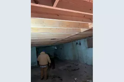 5132 Palm Street, Saint Louis, MO 63115 - Photo 17