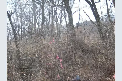 10066 Big Bend Road, Crestwood, MO 63122 - Photo 5