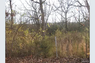 0 Kennett Street, De Soto, MO 63020 - Photo 1