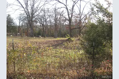 0 Kennett Street, De Soto, MO 63020 - Photo 3