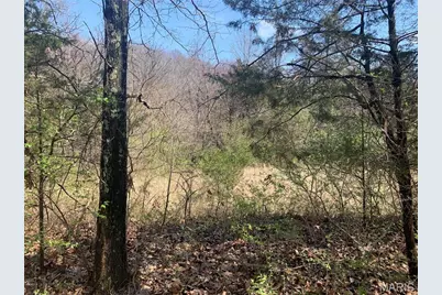 910 Old Eatherton, Wildwood, MO 63038 - Photo 3