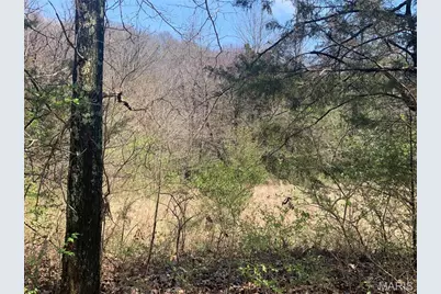 910 Old Eatherton, Wildwood, MO 63038 - Photo 11