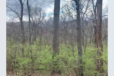 910 Old Eatherton, Wildwood, MO 63038 - Photo 5