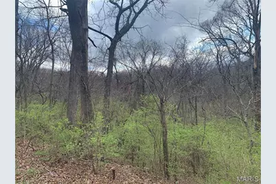 910 Old Eatherton, Wildwood, MO 63038 - Photo 7