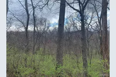 910 Old Eatherton, Wildwood, MO 63038 - Photo 9