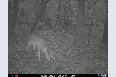 6552 High Point Road, Montreal, MO 65591 - Photo 83