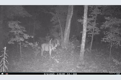 6552 High Point Road, Montreal, MO 65591 - Photo 75