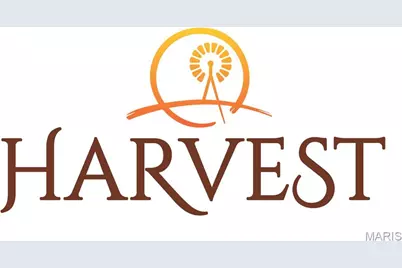 1 Wyndham E6 @ Harvest Heritage, O'Fallon, MO 63385 - Photo 29