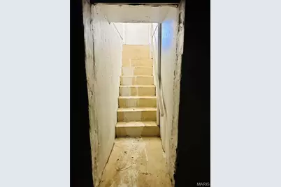 10719 Thorpe Avenue, Saint Louis, MO 63114 - Photo 27