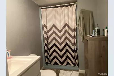 207 Navaho Drive, Cape Girardeau, MO 63701 - Photo 27