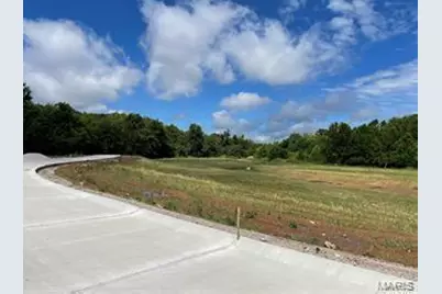 383 Wilmer Meadow Dr., Wentzville, MO 63385 - Photo 11