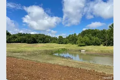 383 Wilmer Meadow Dr., Wentzville, MO 63385 - Photo 5