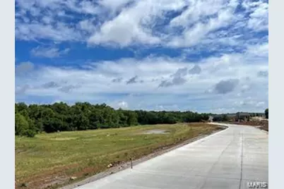 330 Wilmer Meadow Dr., Wentzville, MO 63385 - Photo 15