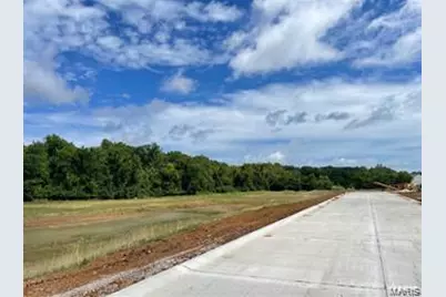 330 Wilmer Meadow Dr., Wentzville, MO 63385 - Photo 11