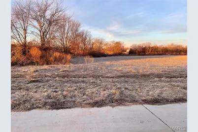 205 Bluegrass Pasture Court, Wentzville, MO 63385 - Photo 3