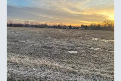 100 Brickyard Pond Court, Wentzville, MO 63385 - Photo 3