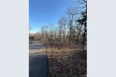 1652 Timber Bluff Trail, Pacific, MO 63069 - Photo 5