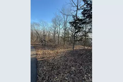 1652 Timber Bluff Trail, Pacific, MO 63069 - Photo 3