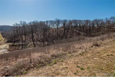 615 Corisande Hill Road, Fenton, MO 63026 - Photo 5