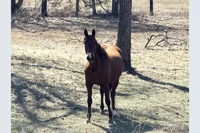 27409 Missouri Drive, Lebanon, MO 65536 - Photo 43