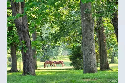 27409 Missouri Drive, Lebanon, MO 65536 - Photo 47