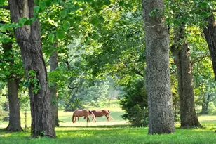 27409 Missouri Dr, Lebanon, MO 65536 - Photo 47