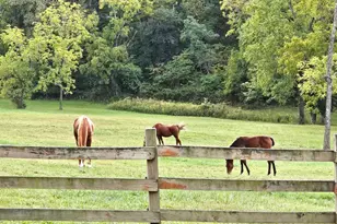 27409 Missouri Dr, Lebanon, MO 65536 - Photo 45