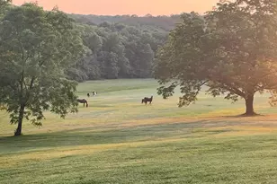 27409 Missouri Dr, Lebanon, MO 65536 - Photo 41