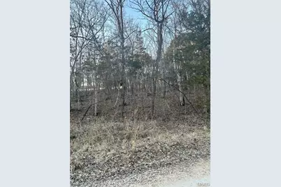 121 Briarwood Terrace, De Soto, MO 63020 - Photo 1