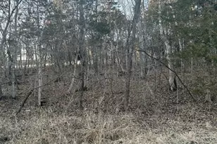 121 Briarwood Terrace, De Soto, MO 63020 - Photo 1