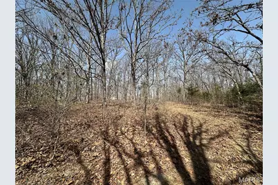 2441 N Highway 19, Salem, MO 65560 - Photo 43