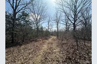 2441 N Highway 19, Salem, MO 65560 - Photo 45