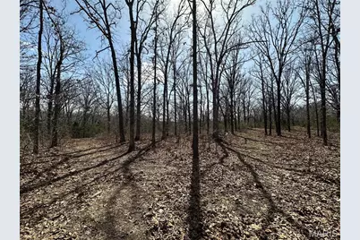 2441 N Highway 19, Salem, MO 65560 - Photo 41