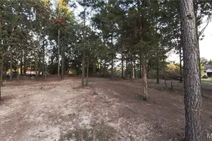 2887 County Rd 5620, Weldon Spring, MO 65789 - Photo 17