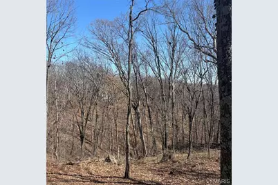 7350 Deborah Lane, Hillsboro, MO 63050 - Photo 11